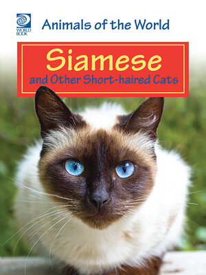 cover image of Siamese and Other Short-haired Cats